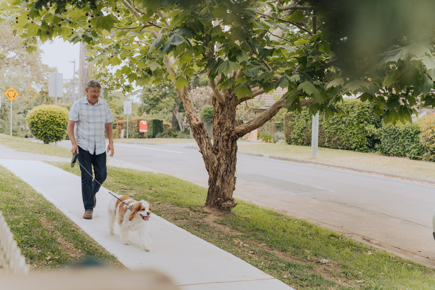 Scott walking his dog